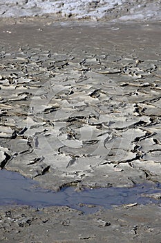 Dried mud in a pond of Camargue