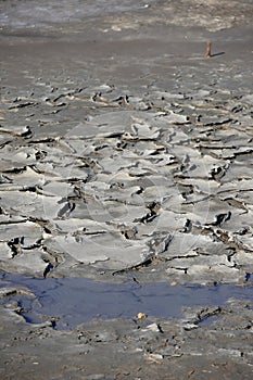 Dried mud in a pond of Camargue