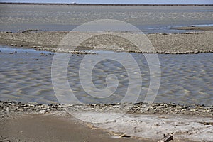 Dried mud in a pond of Camargue