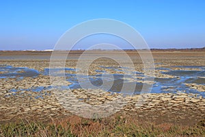 Dried mud in a pond of Camargue