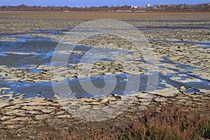 Dried mud in a pond of Camargue