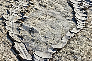 Dried mud texture