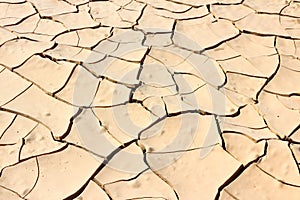 Dried mud texture - drought concept