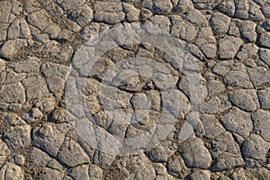 Dried Mud Texture