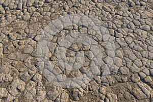 Dried Mud Texture