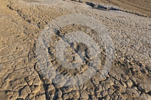 Dried Mud Texture
