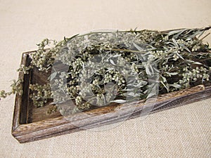 Dried mugwort on a small tray