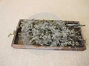 Dried mugwort on a small tray
