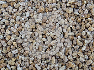 dried mulberry