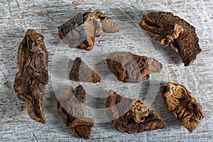 Dried mushroom closeup