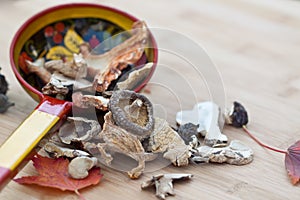 Dried Mushrooms