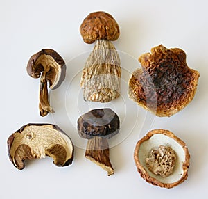 Dried mushrooms.