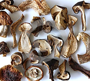 Dried mushrooms.