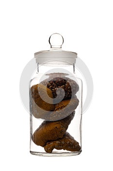 Dried mushrooms amanita muscaria in a glass jar isolated on white background