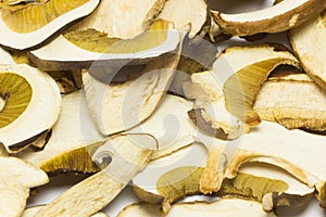 Dried mushrooms Boletus reticulatus, detail.