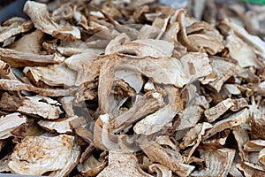 Dried mushrooms close-up