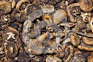 Dried mushrooms