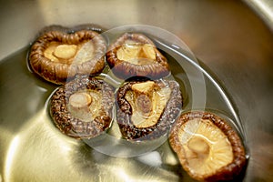 Dried Mushrooms Rehydrate Soak in Water in a Mixing Bowl