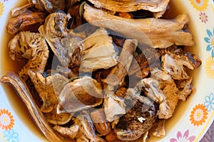 Dried mushrooms in water top view.