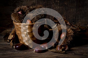 Dry chestnuts on basket