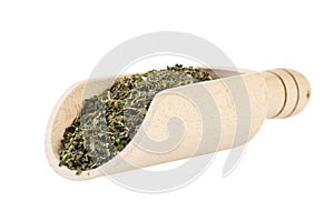 dried nettle herb or in latin Utricae folium in wooden scoop isolated on white background. medicinal healing herbs. herbal medicin