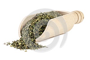 dried nettle herb or in latin Utricae folium in wooden scoop isolated on white background. medicinal healing herbs. herbal medicin