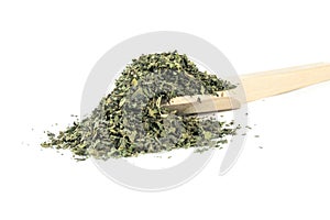 dried nettle herb or in latin Utricae folium in wooden spoon isolated on white background. medicinal healing herbs. herbal medicin