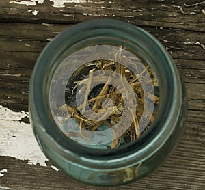 Dried Nettle Roots in Vintage Jar