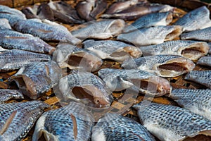 The dried Nile tilapia fish as Thai style preserve