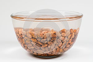 Dried orange coloured beans absorb water