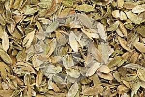 Dried Organic peels of True Cardamom Elettaria cardamomum.