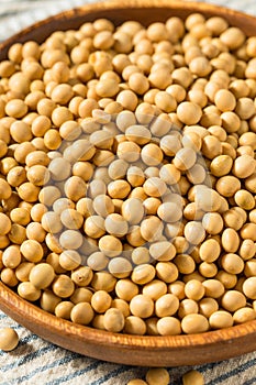 Dried Organic Soy Beans