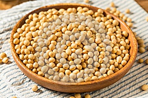 Dried Organic Soy Beans