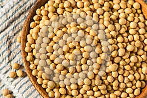 Dried Organic Soy Beans