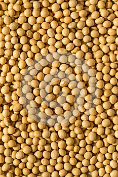 Dried Organic Soy Beans