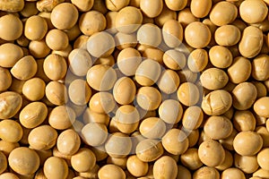 Dried Organic Soy Beans