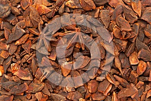 Dried Organic Star Anise Illicium verum.