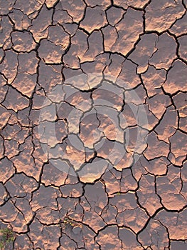 Dried out and cracked soil in the desert