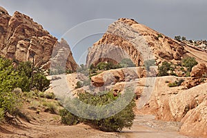 Dried out river bank in the desert