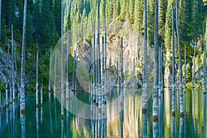 Dried-out trunks of submerged Schrenkâ€™s Spruce trees that rise above the waterâ€™s surface from the bottom of the lake.