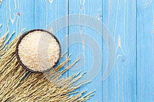 Dried paddy rice crop and jasmine rice in bowl on blue wooden bo