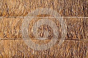 Dried palm leaf wall texture