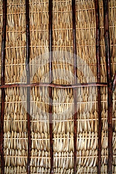 Dried palm tree leaves palapa roof and beams