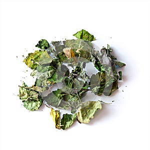 Dried patchouli leaves on white