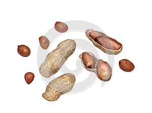 Dried peanuts full and pealed isolated on white background