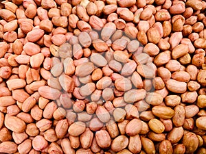 Dried peanuts kernel, Food ingredient and raw food for vegetarian.