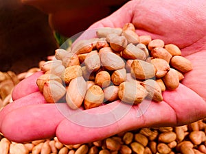 Dried peanuts kernel on hand, Food ingredient and raw food for vegetarian.