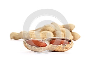 Dried peanuts on the white background.