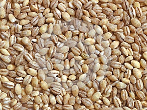 Dried pearl barley