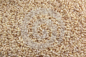 Dried pearl barley